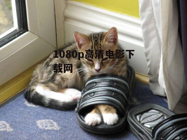 1080p高清电影下载网