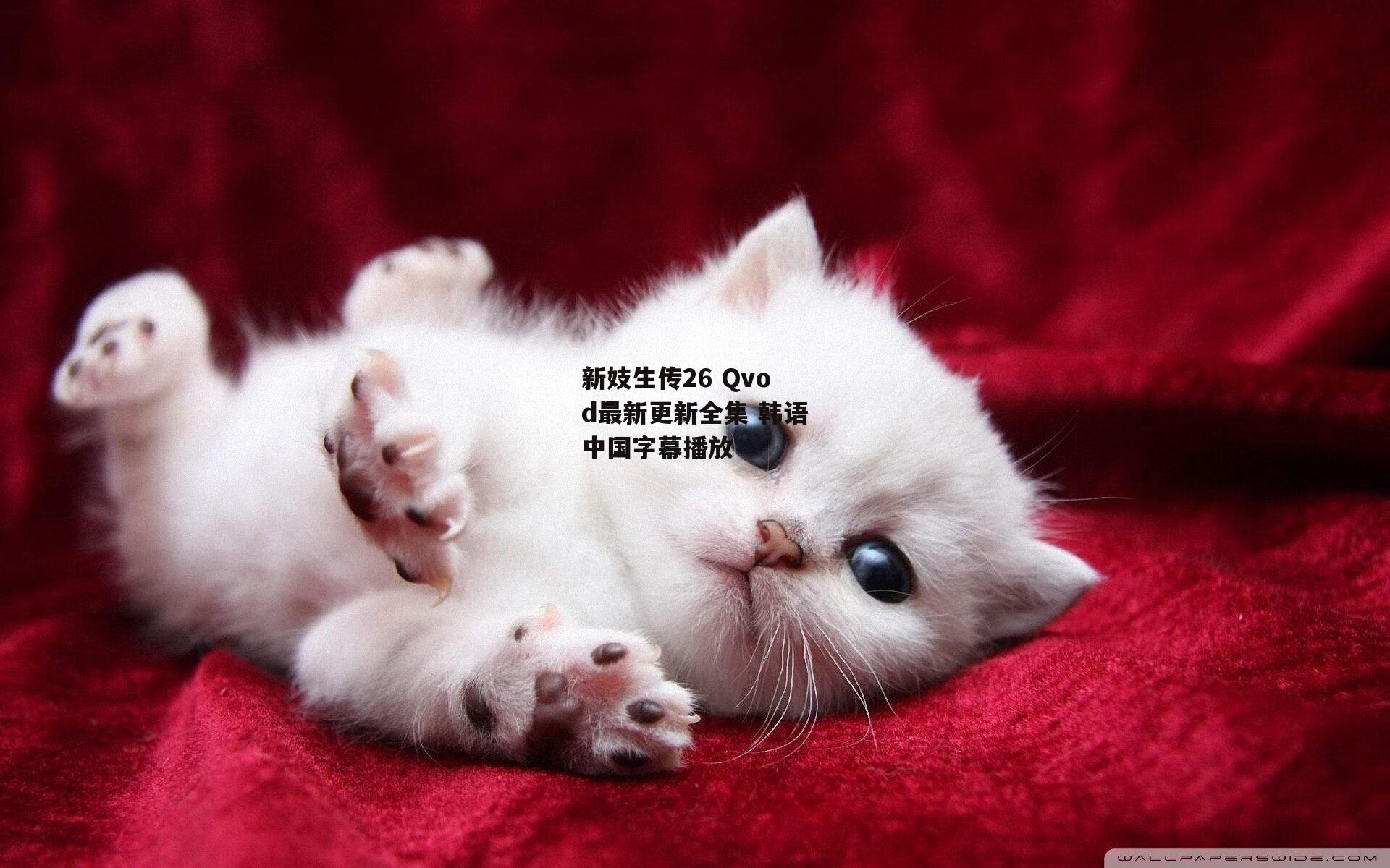 新妓生传26 Qvod最新更新全集 韩语中国字幕播放